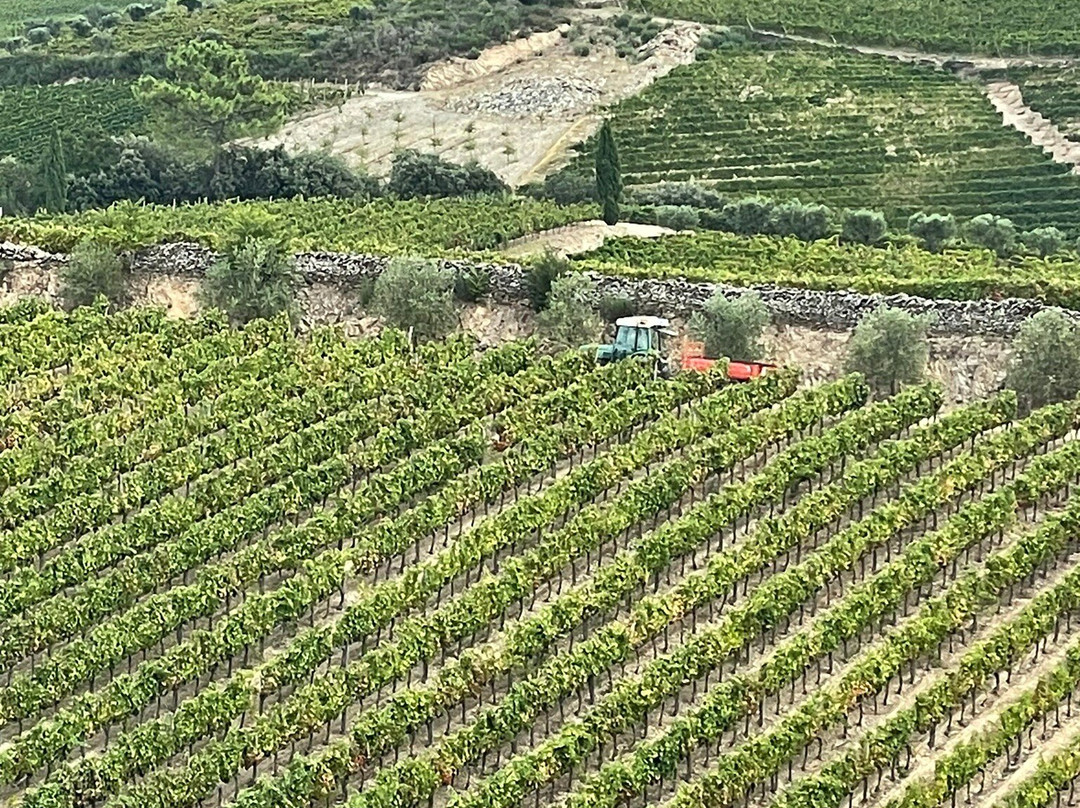 Quinta da Faísca景点图片