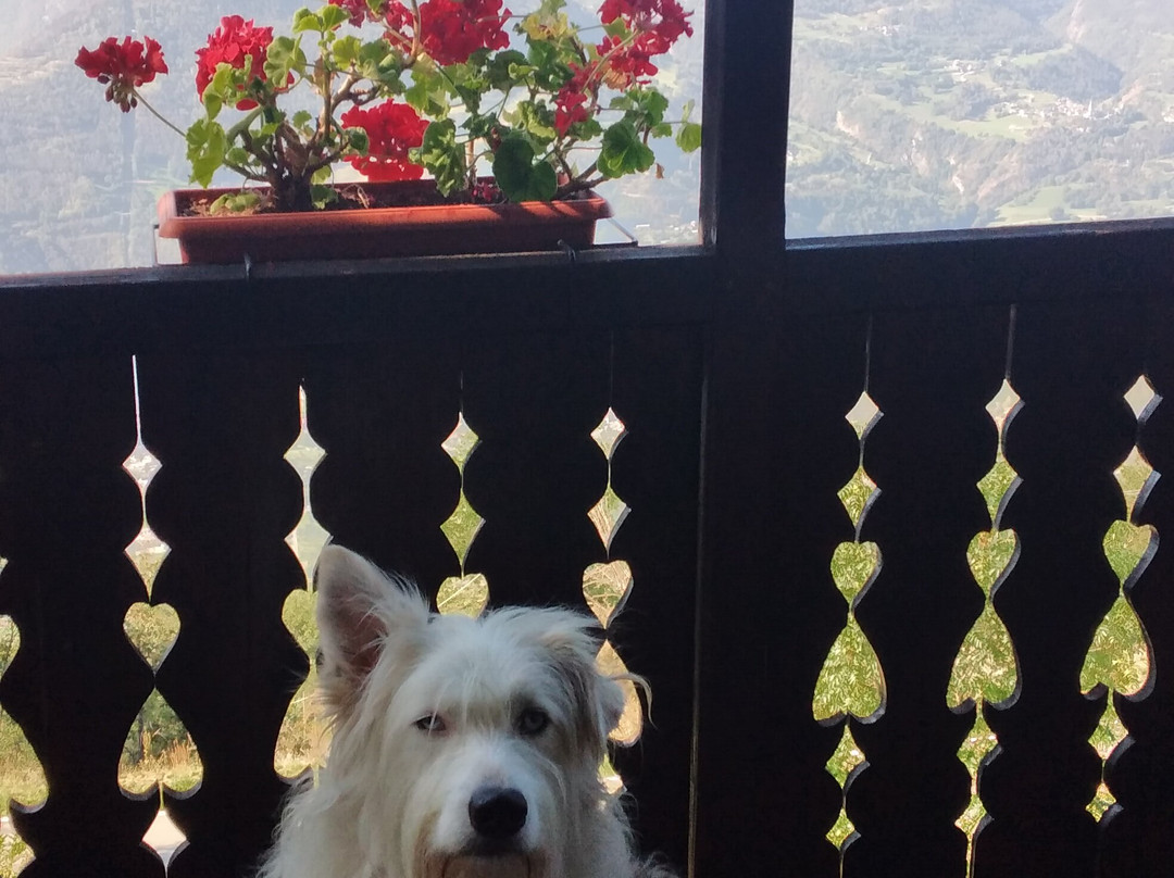 Agriturismo Les Ecureuils主图