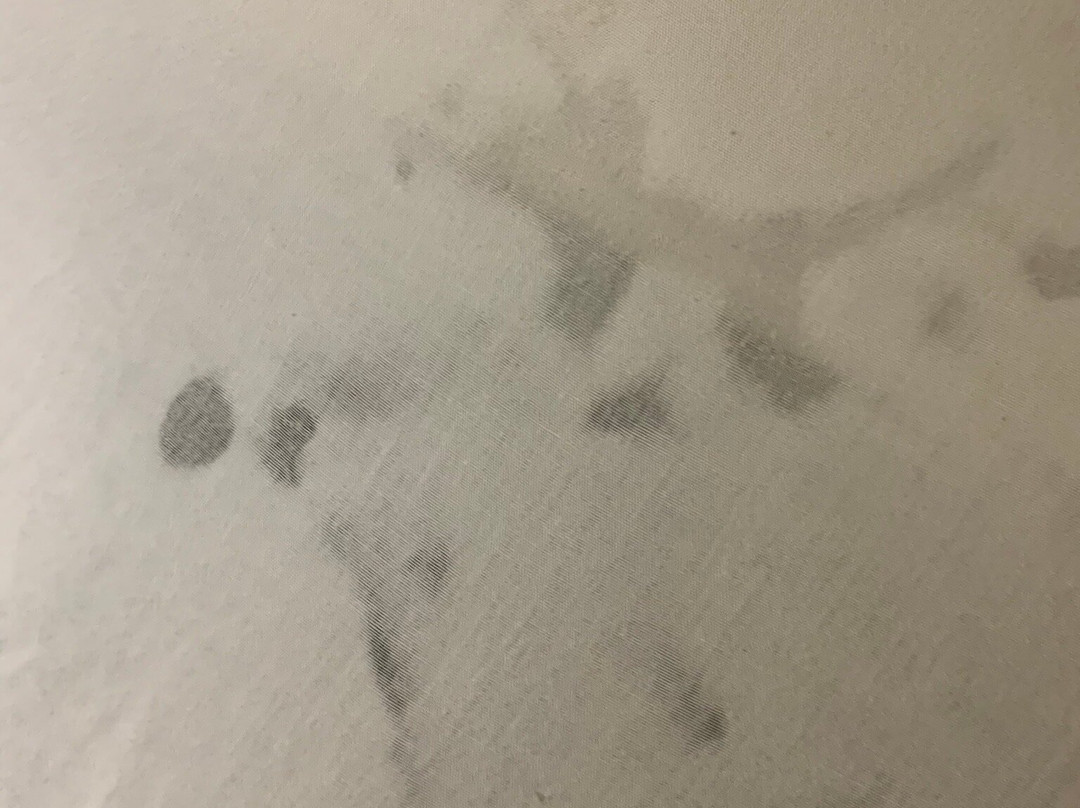 Indian Hills Inn主图