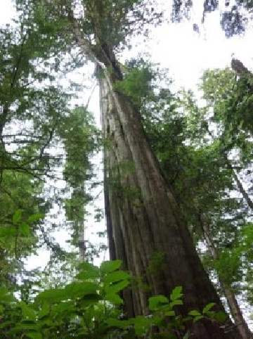 Tla Ook Cultural Adventures-托菲诺必去景点