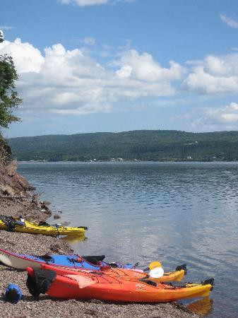 North River Kayak景点图片