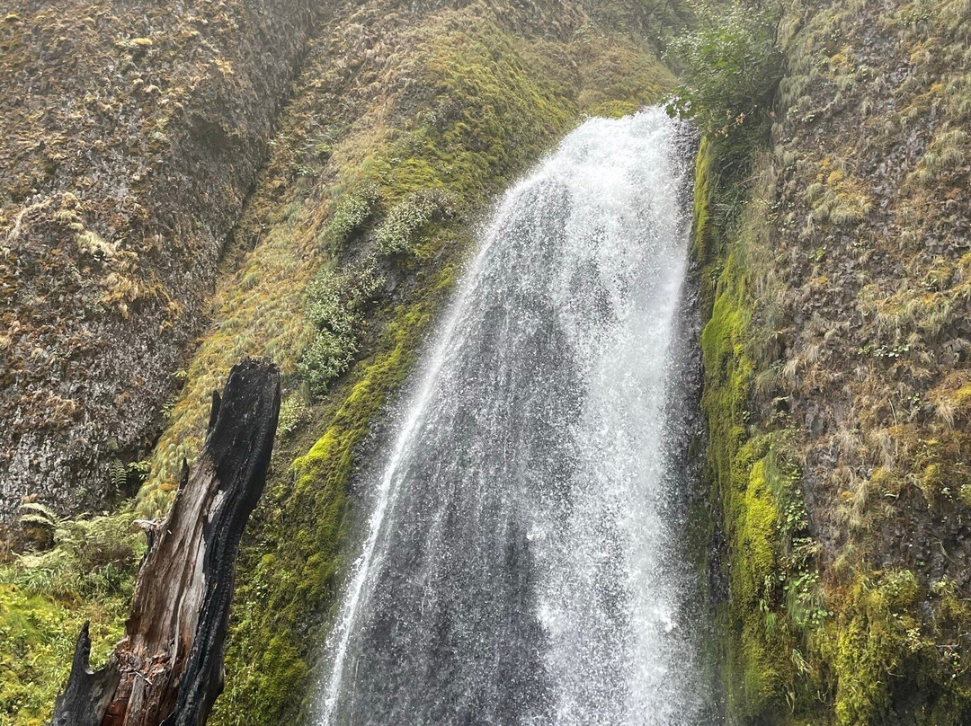 Hood River Mountain Bike Adventures-胡德里弗必去景点