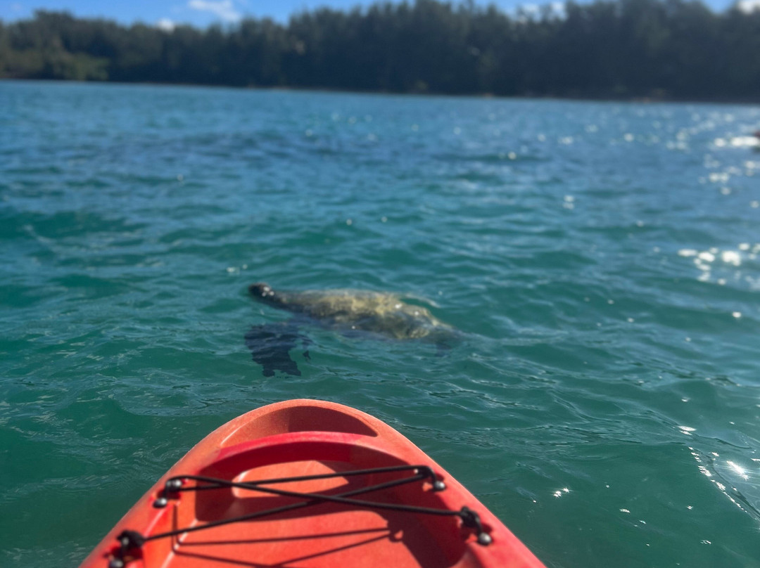 Shaka Kayaks-瓦胡岛必去景点