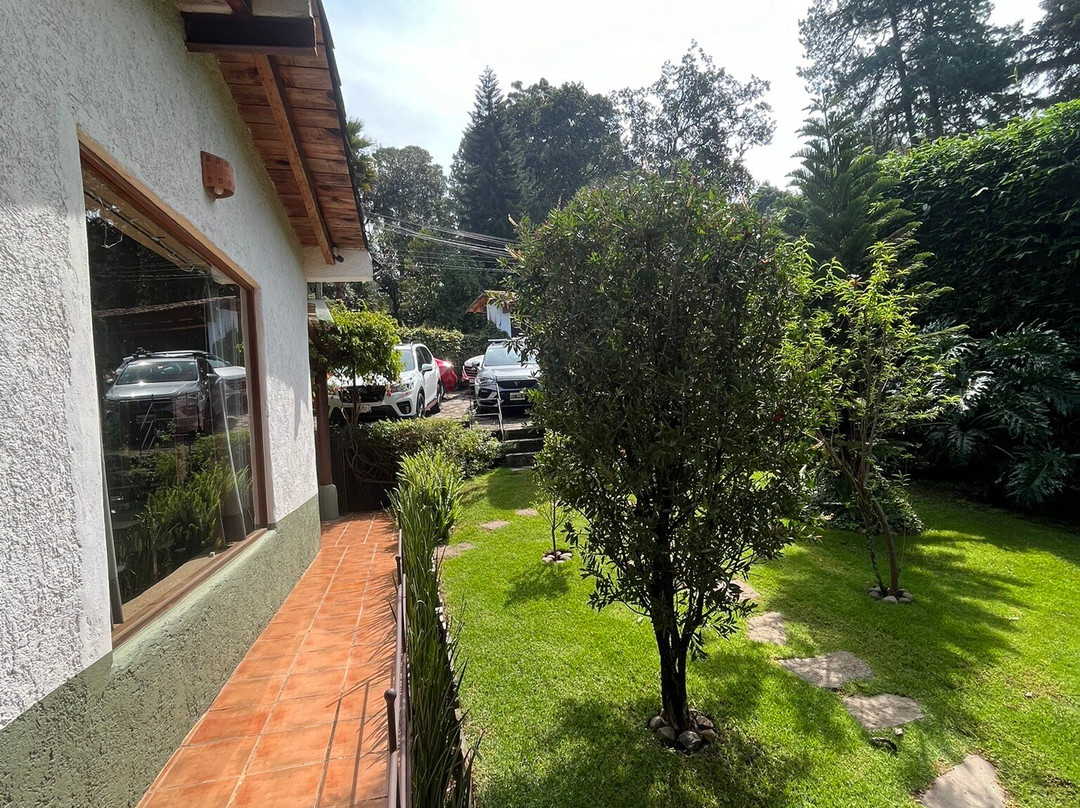 Las Luciérnagas主图