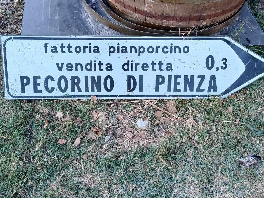 Fattoria Pianporcino-皮恩扎必去景点