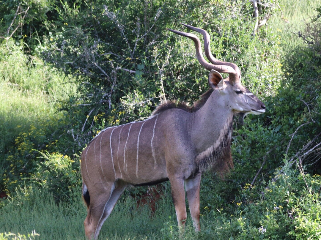 Zasendle Adventures-阿多必去景点
