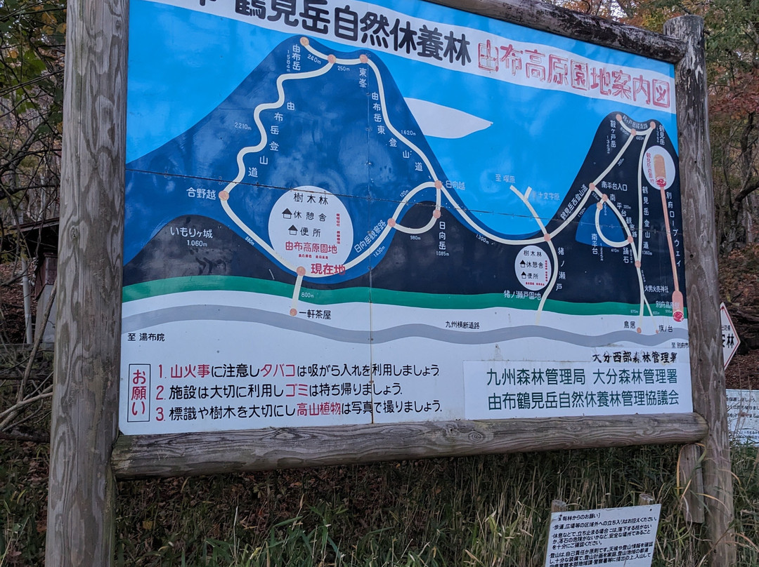 由布岳-由布市必去景点