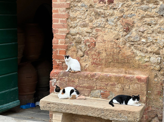 Fattoria del Colle - Agriturismo主图