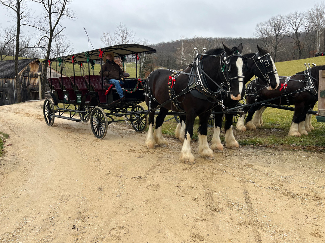 Hermann Farm-赫曼必去景点