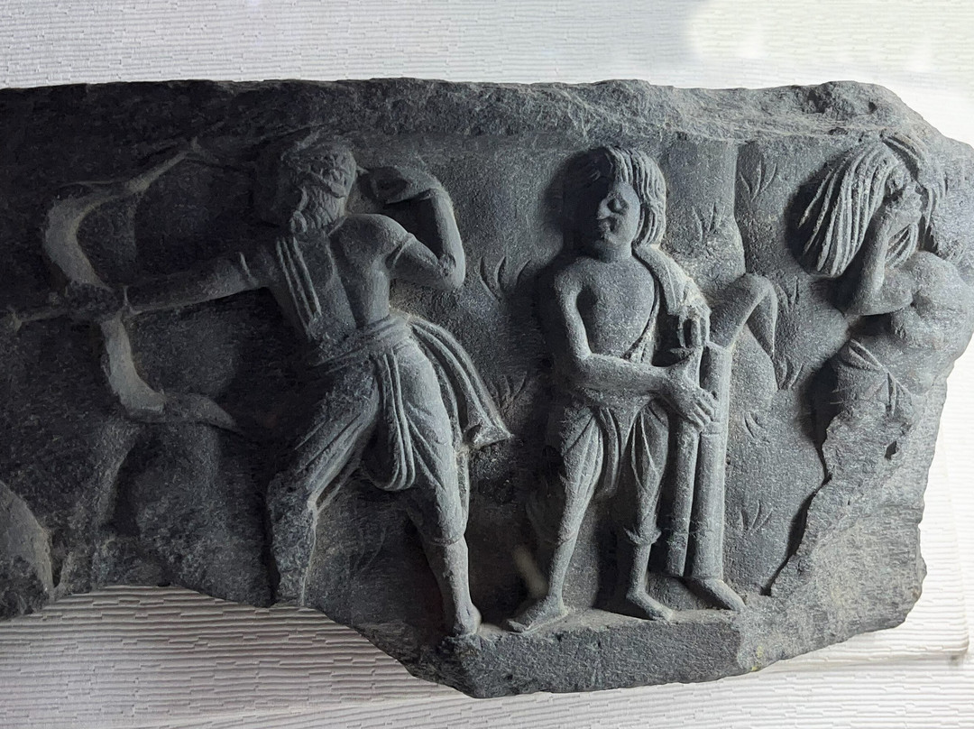 Taxila Museum-Taxila必去景点