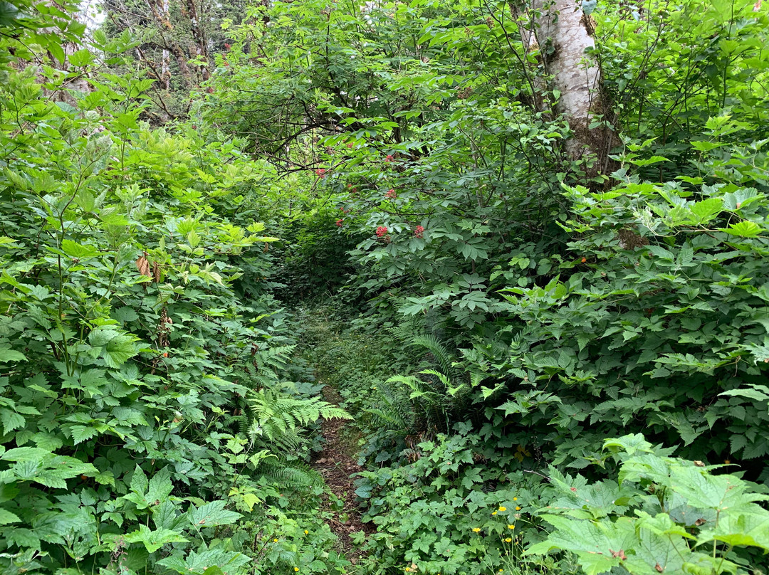 Dempsey Collinson Memorial Trail-Daajing Giids必去景点