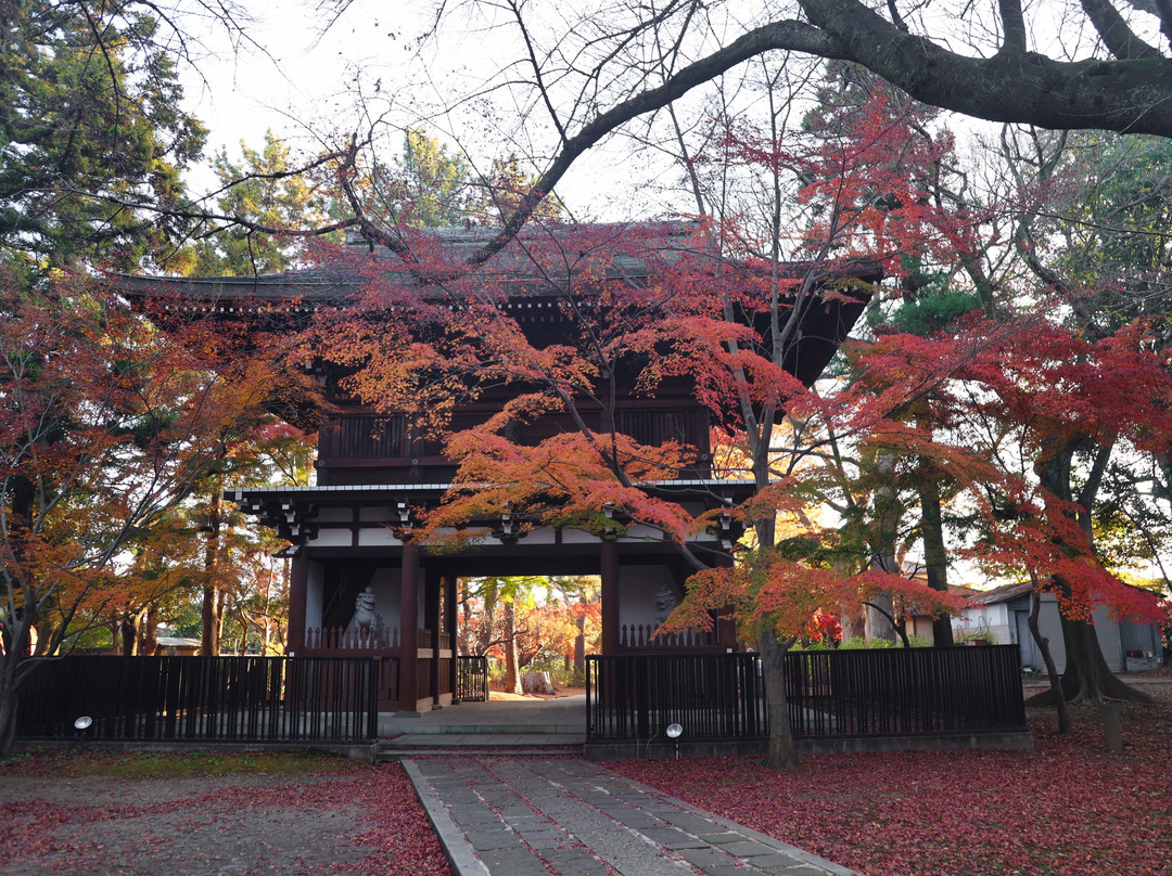 Tozen-ji Temple-松户市必去景点