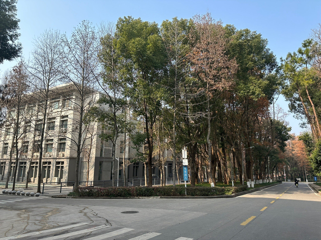 武汉大学-武汉市必去景点