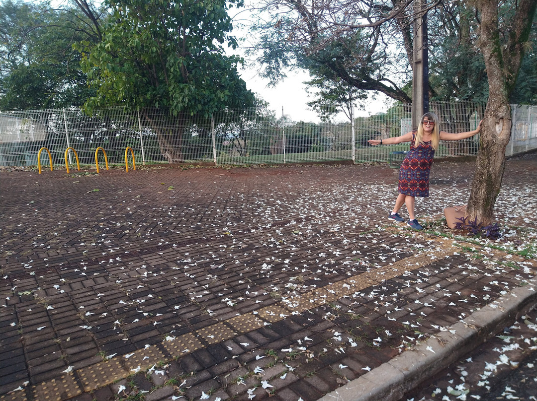 Parque Alfredo Nyffler-Maringa必去景点