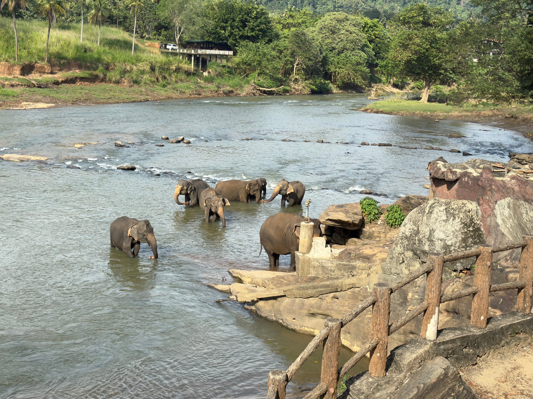 Ami Tours & Travels-坎达拉马必去景点