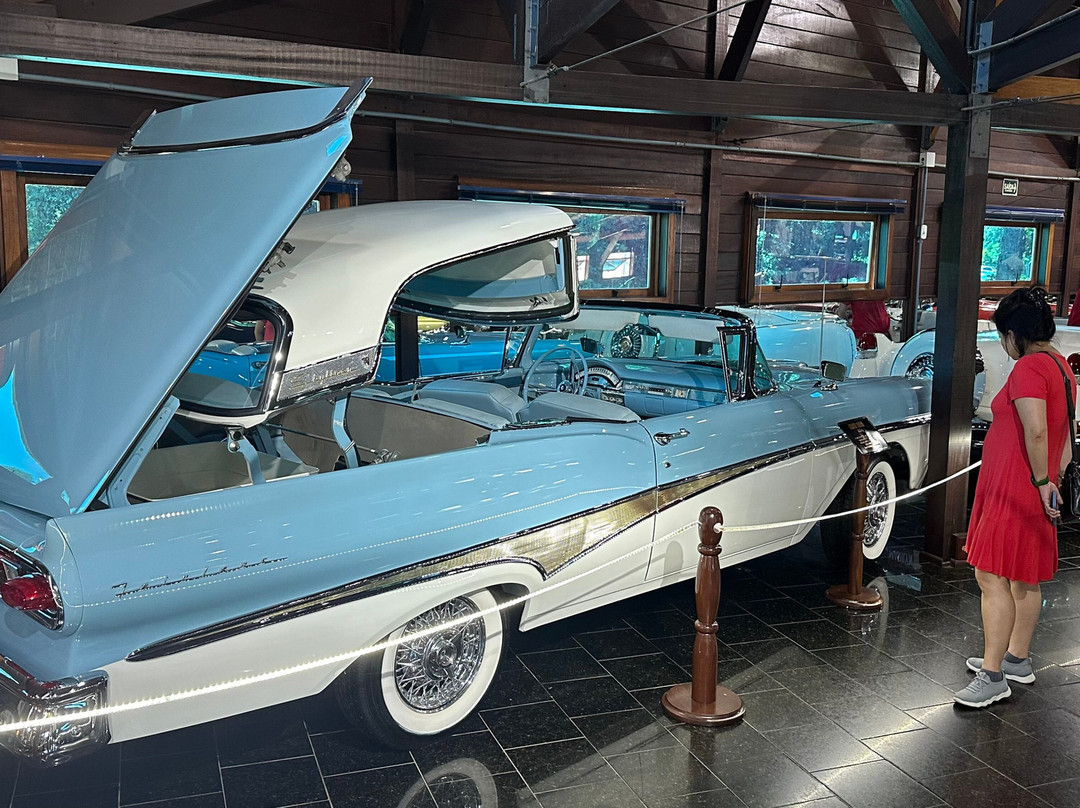 Hollywood Dream Cars-格拉玛多必去景点