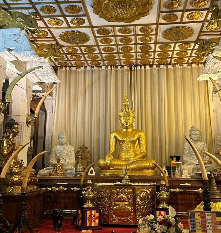 Cylon Lanka Tours And Travels