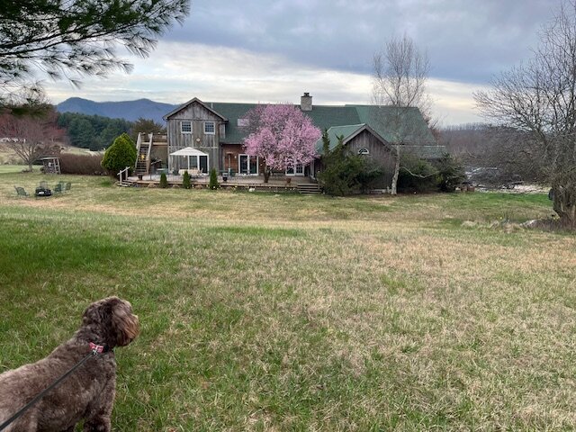 Fox Hill Bed & Breakfast Suites-浴室