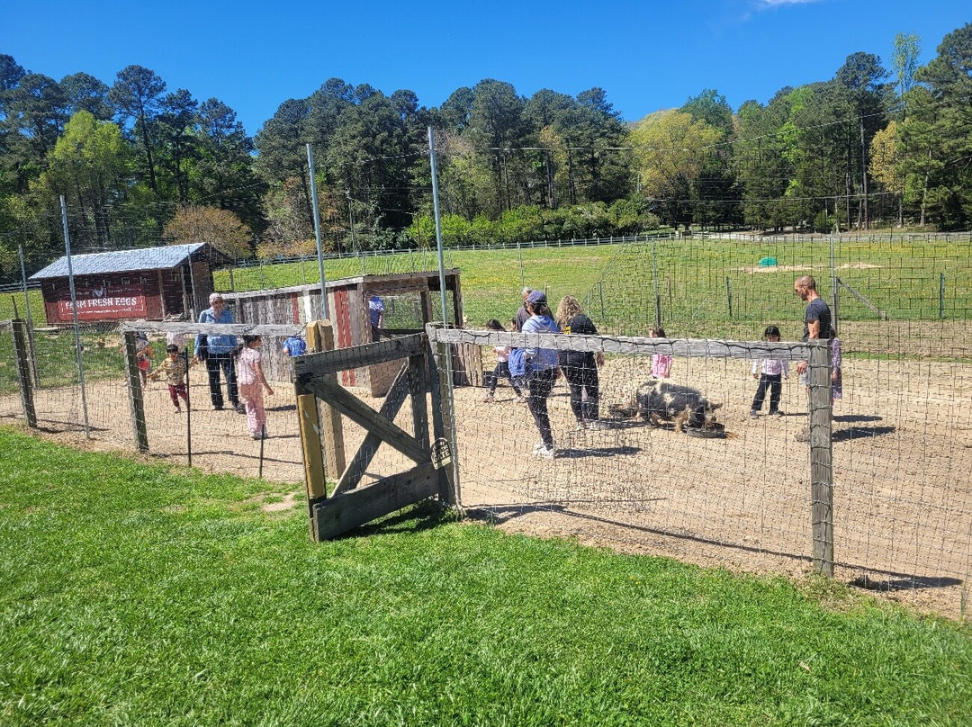1870 Farm-教堂山必去景点
