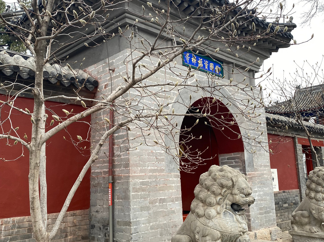 Beijing Angel tour景点图片