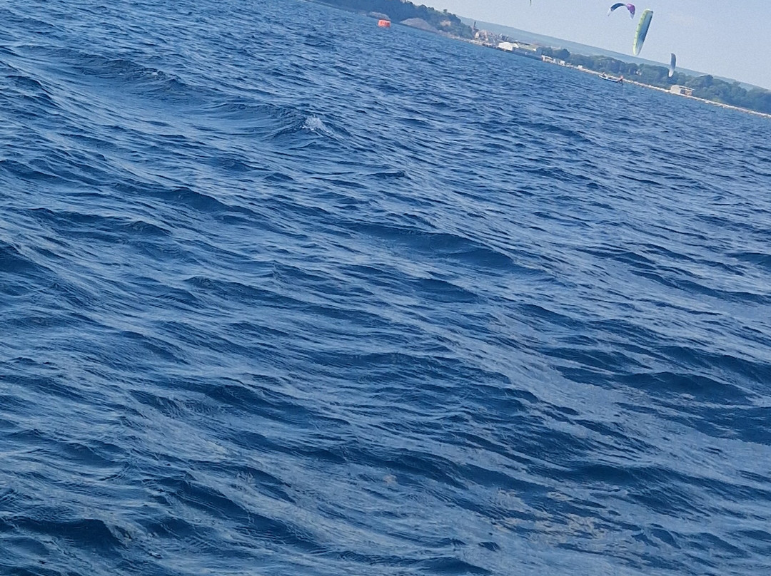 Coastline Cruises-韦茅斯必去景点