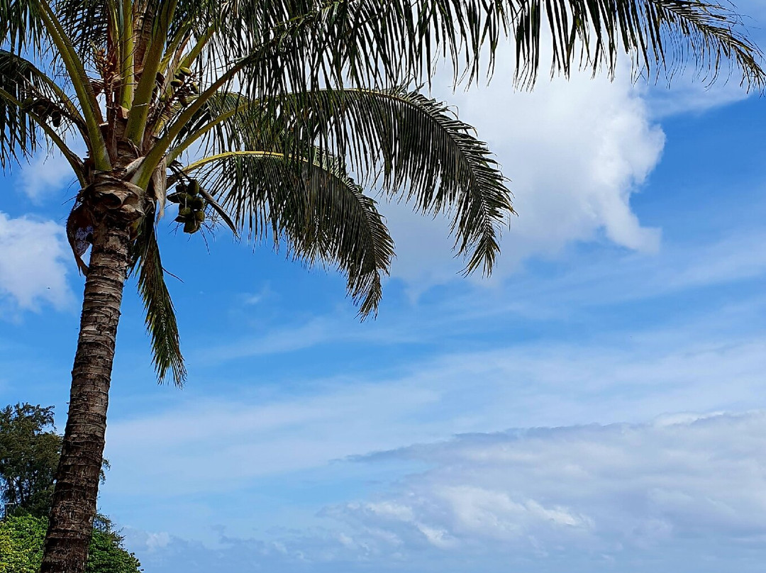Haena Beach Park-哈耶纳必去景点