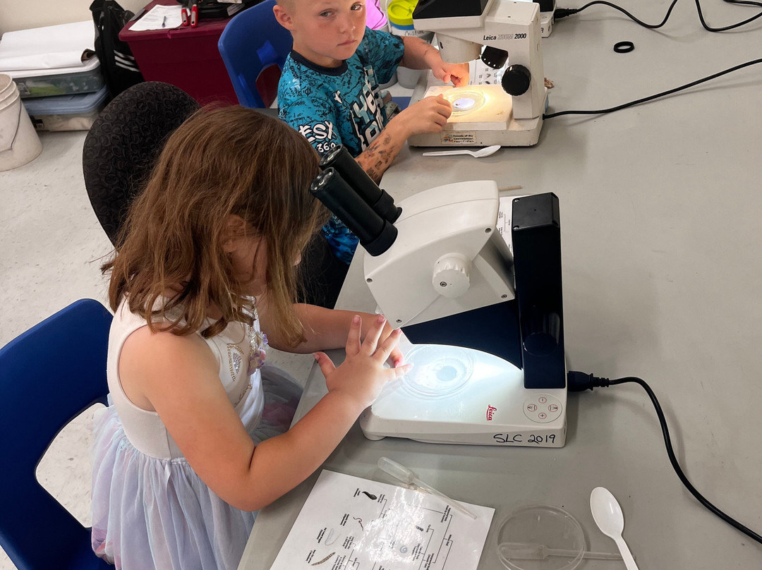 Rush Hour Escapes Cornwall-康沃尔必去景点