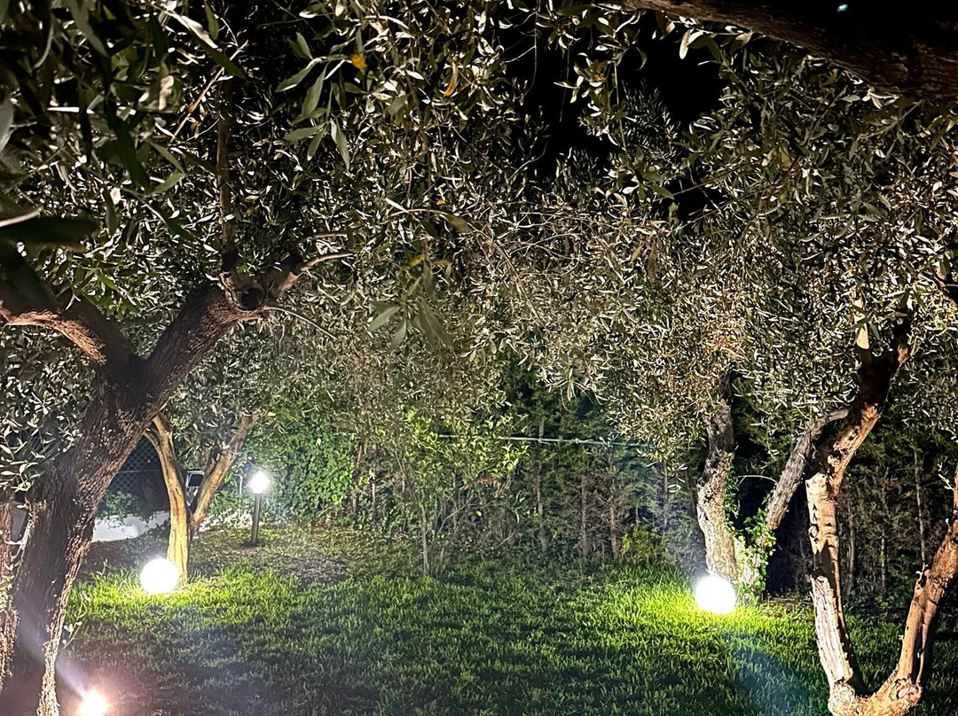 Mariya Art Living主图