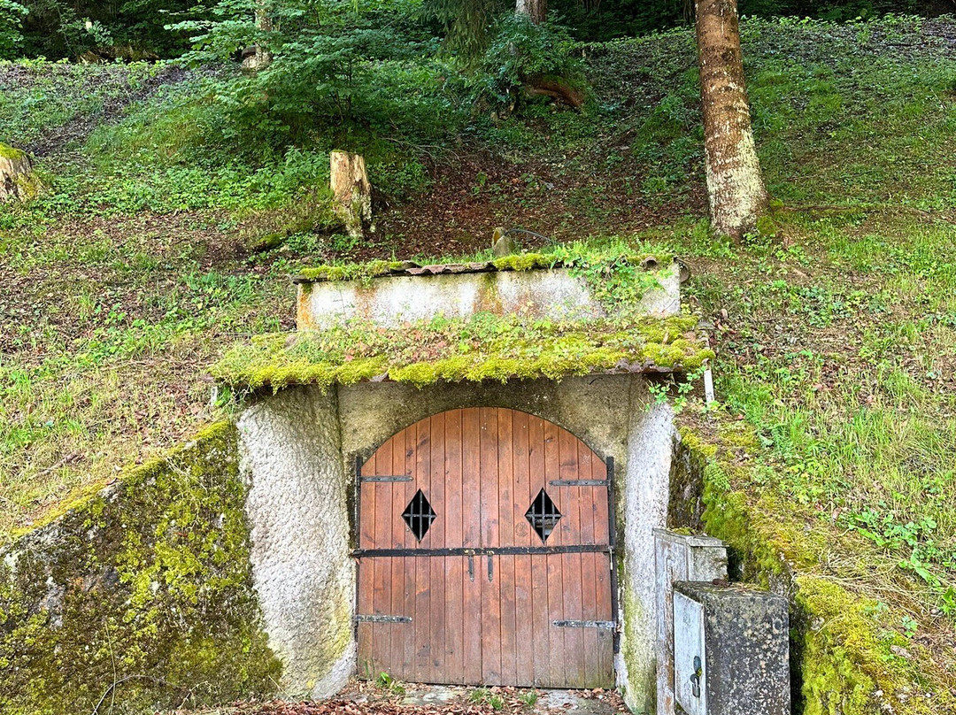 Parco Roccolo - Sant'Alipio-Pieve di Cadore必去景点