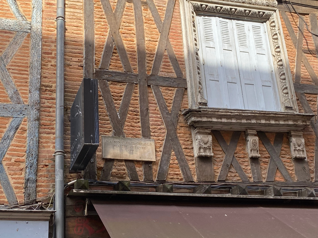 Toulouse Guided Walks-图卢兹必去景点