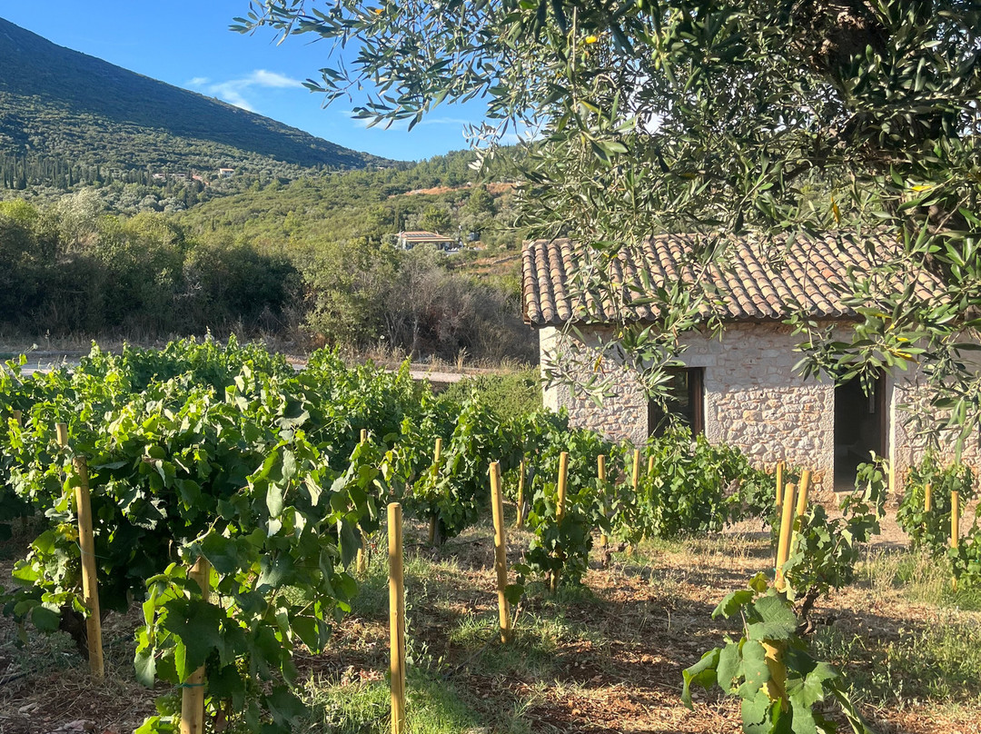 Lefkas Earth Winery-莱夫卡扎必去景点