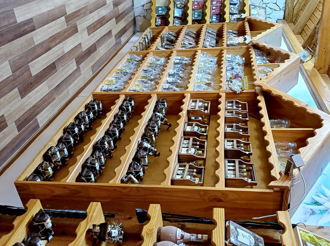 Igreja Matriz Nossa Senhora do Perpetuo Socorro-Treze Tilias必去景点