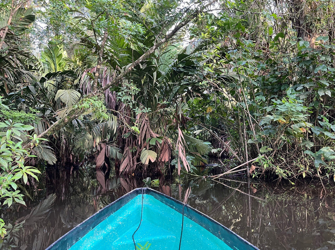 Tortuguero Natural Tours-托图杰多必去景点