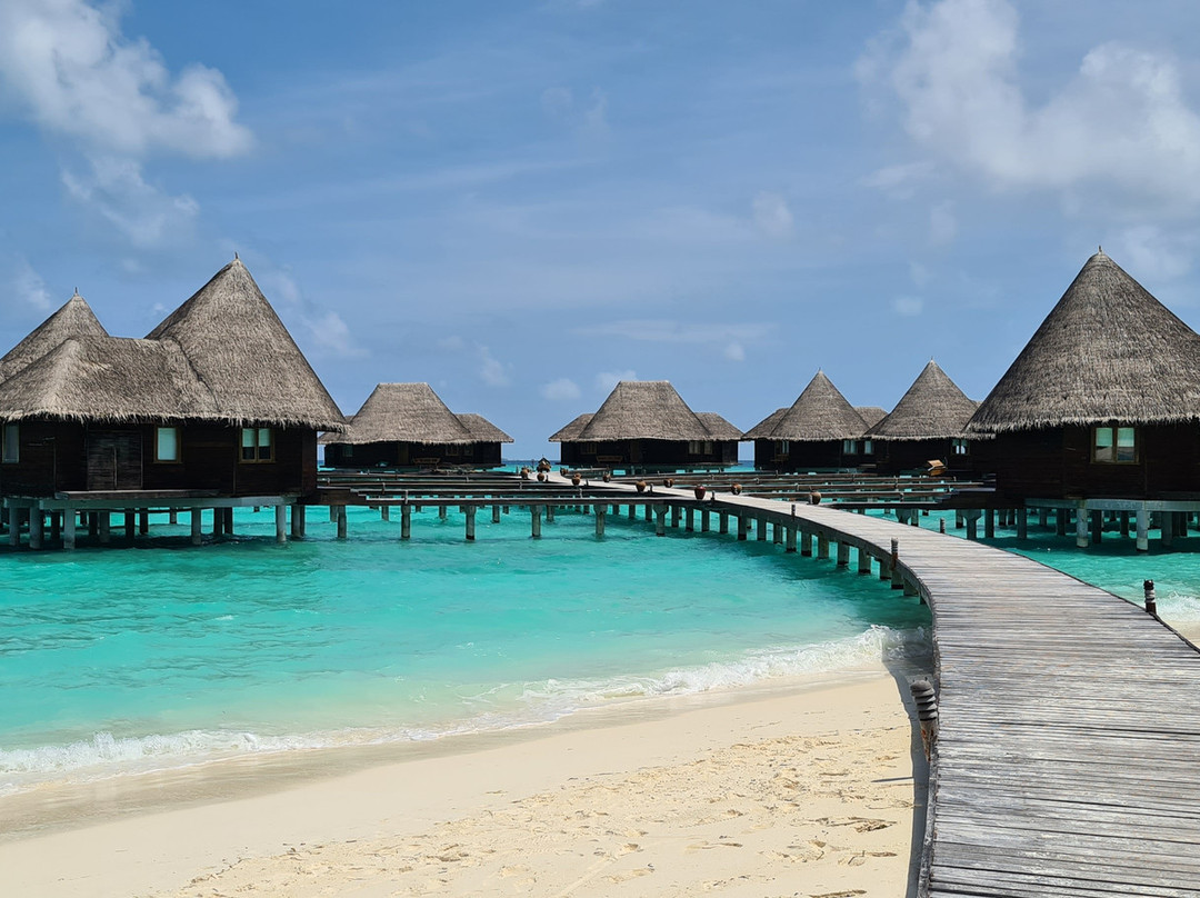 柯可棕榈杜妮科酒店主图