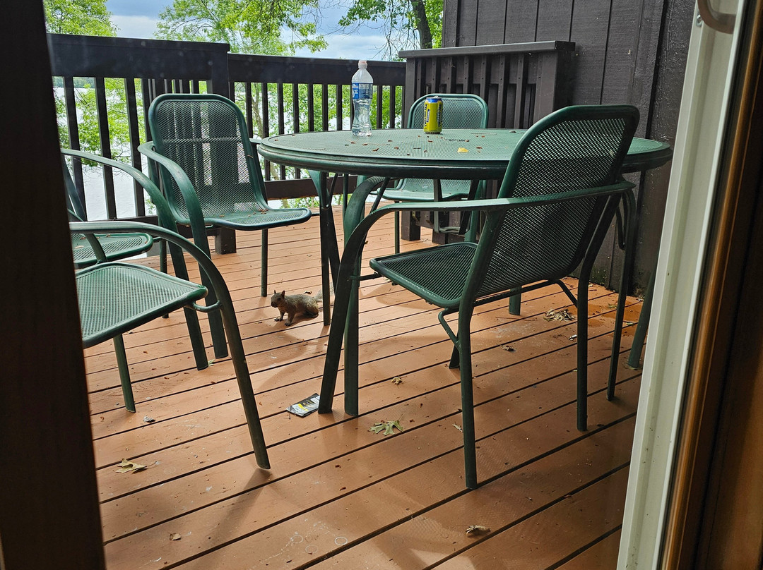 Cragun's Resort on Gull Lake主图