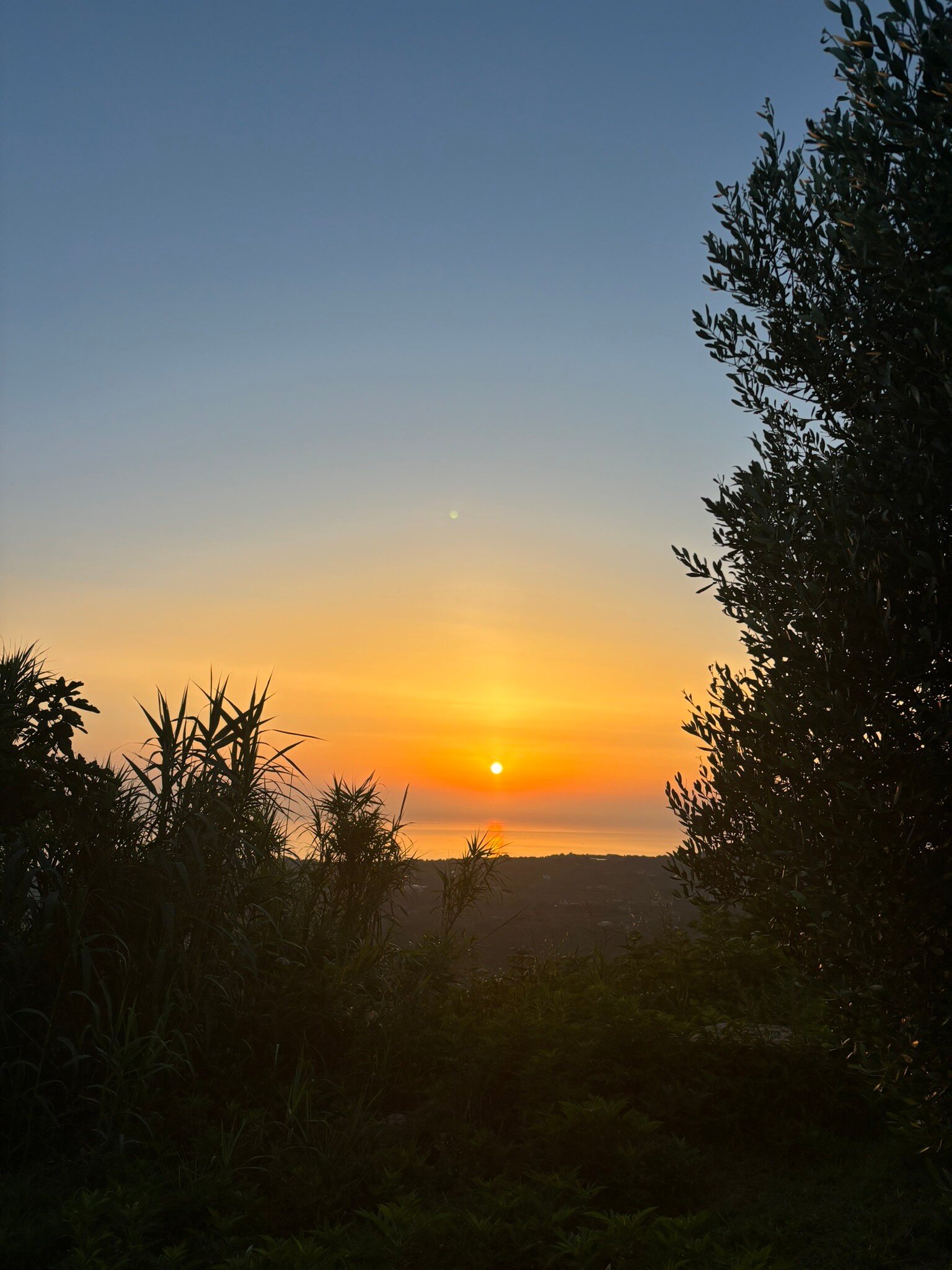 B&B Il Giardino di Circe-官方