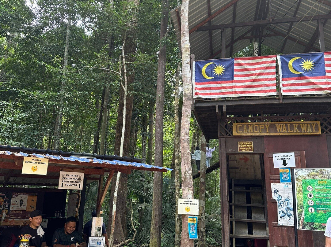 Taman Negara Canopy Walkway景点图片