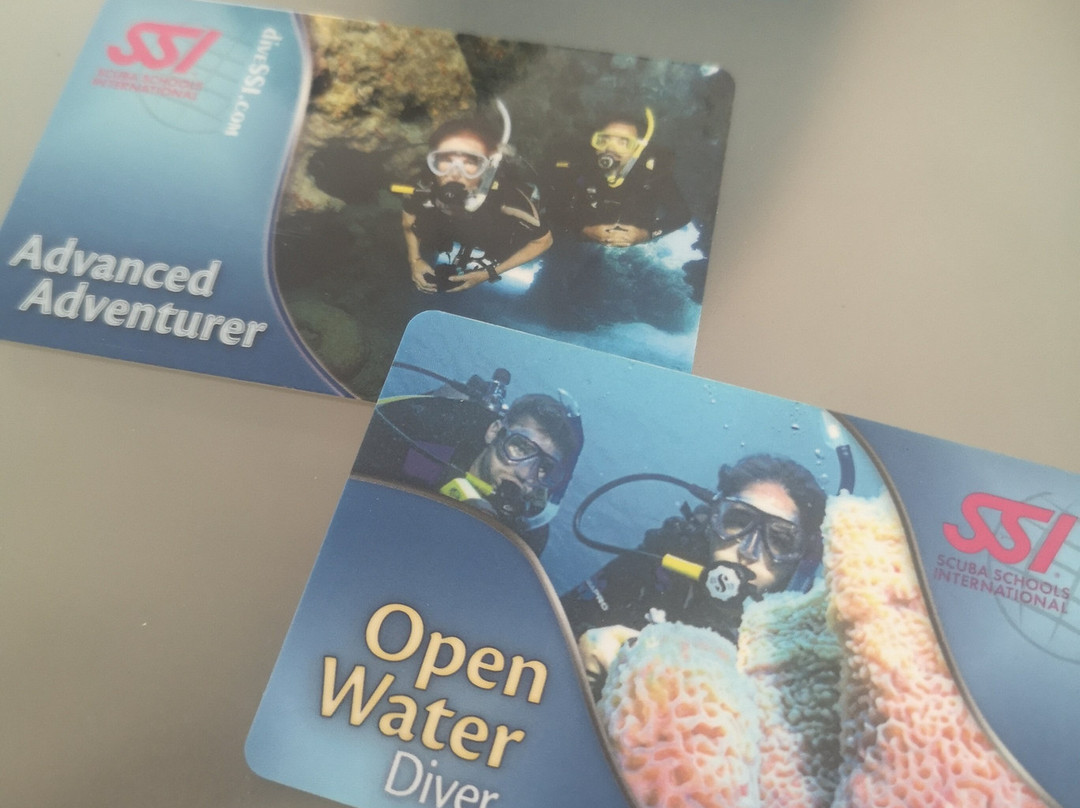 OK Diving Malta-圣保罗湾城必去景点