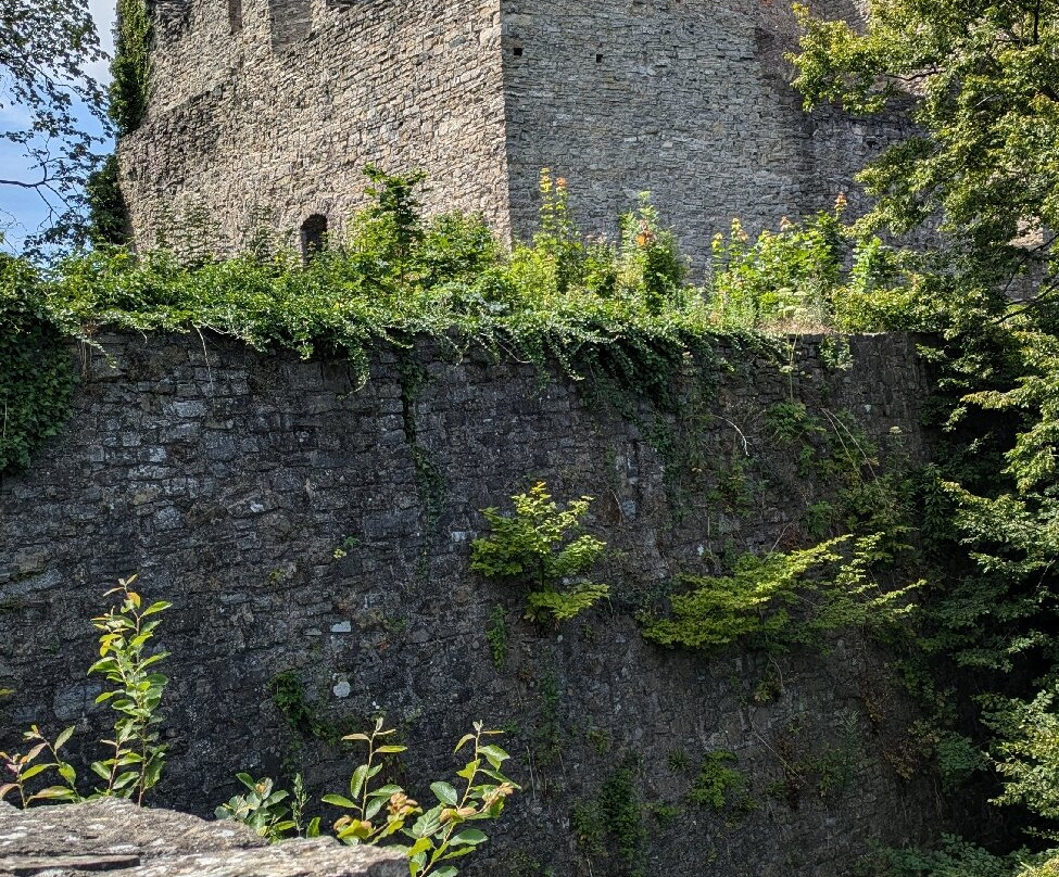 Hukvaldy Castle景点图片