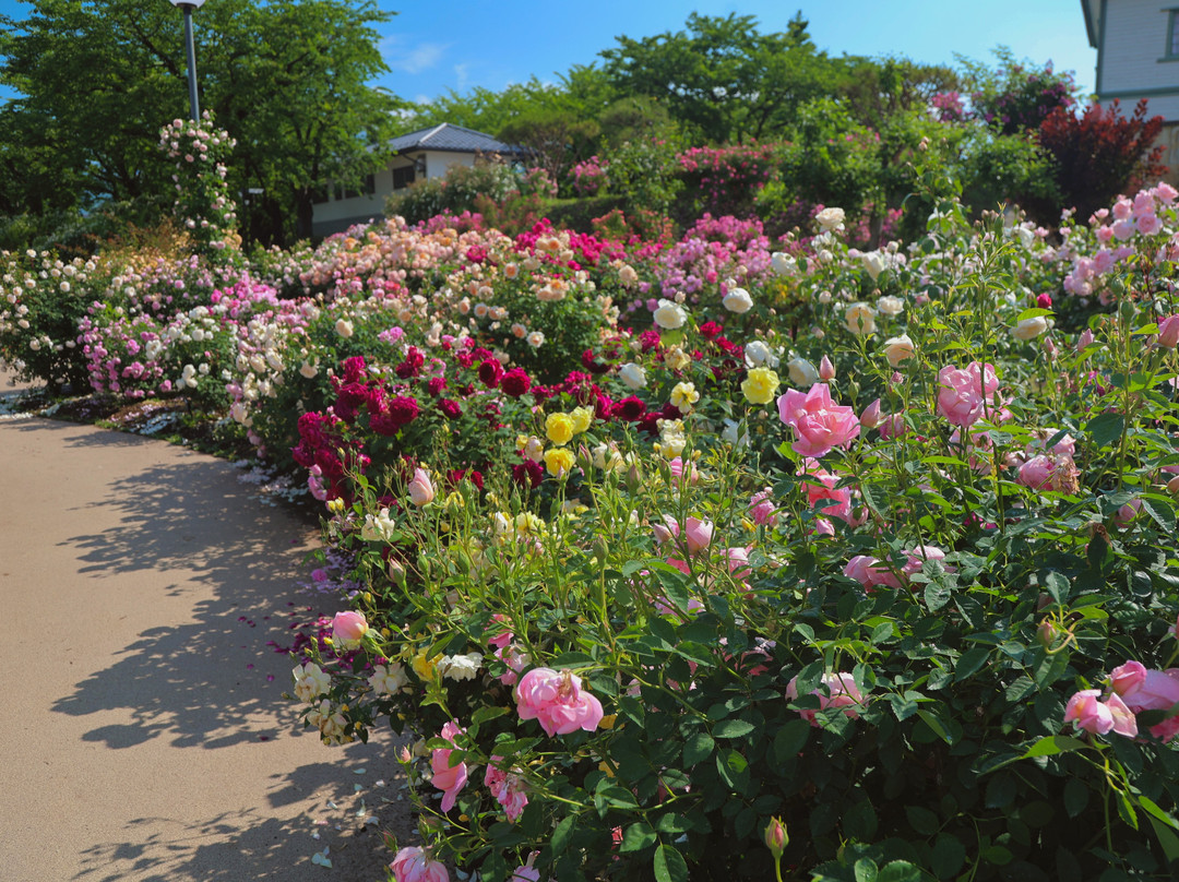 Ippongi Park-中野市必去景点