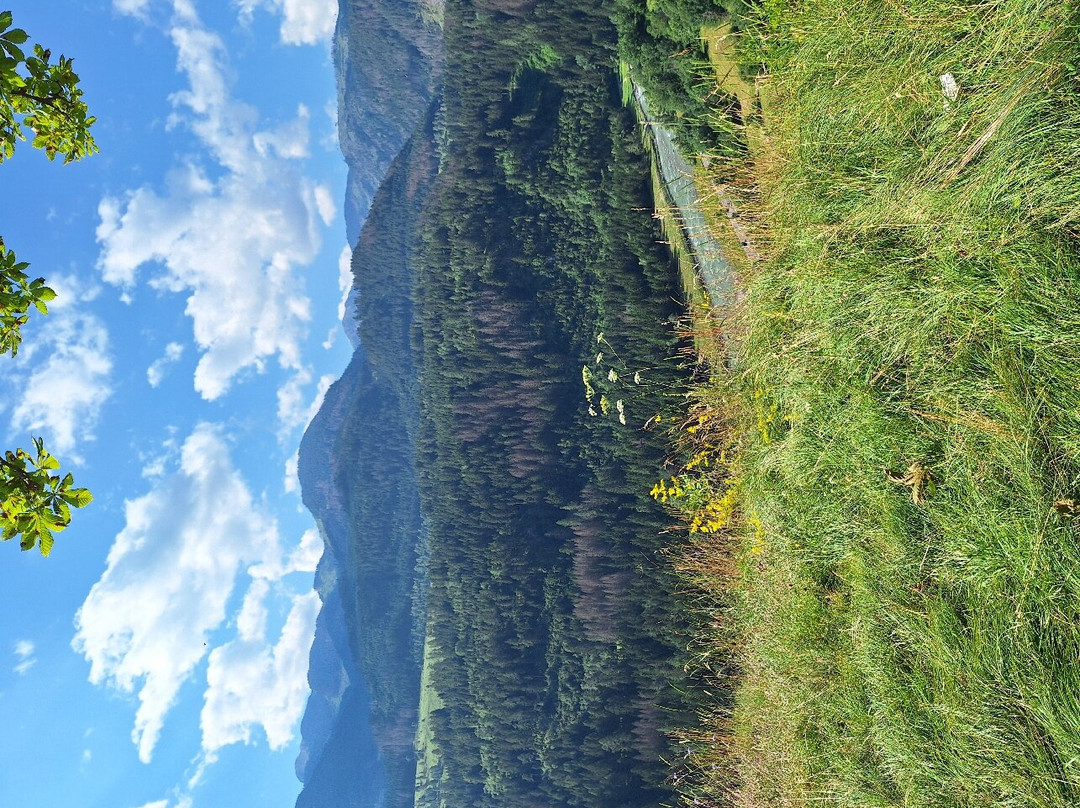 Parco della Pieve-Cavalese必去景点