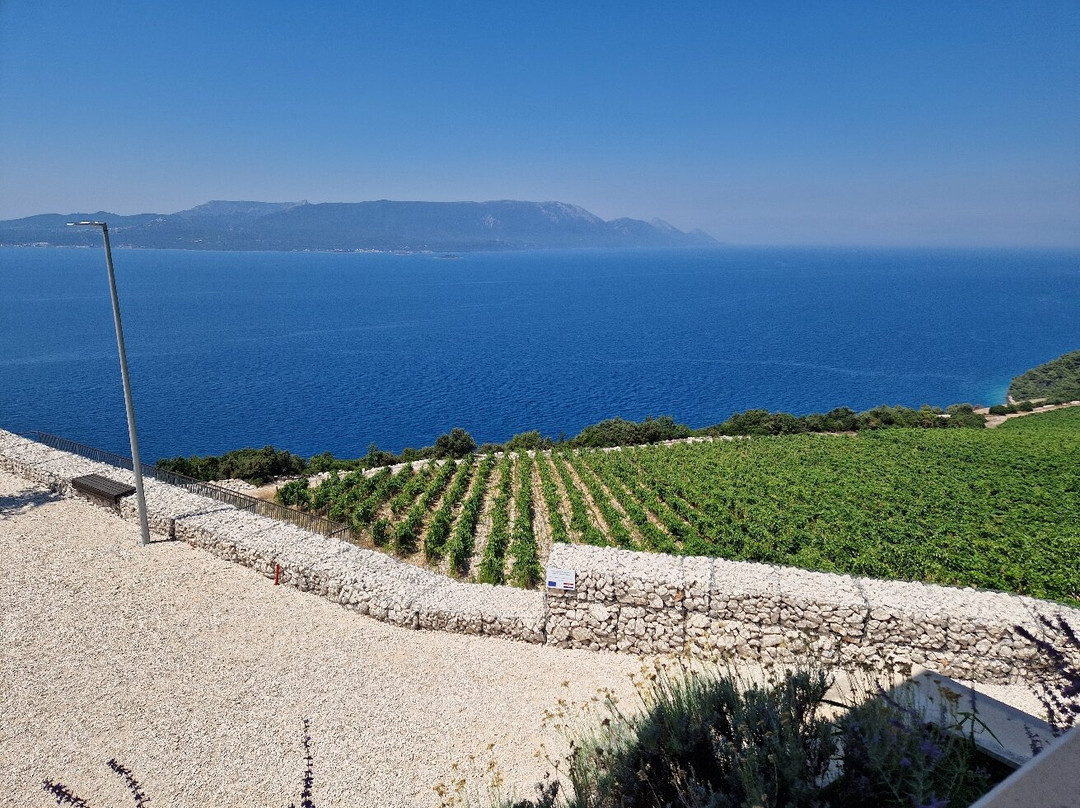 Dubrovnik Wine Tours景点图片