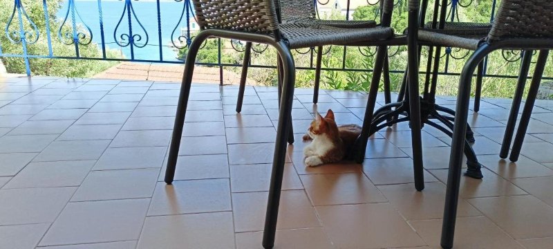 Kaminakia Apartments-浴室