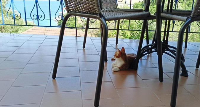 Kaminakia Apartments主图