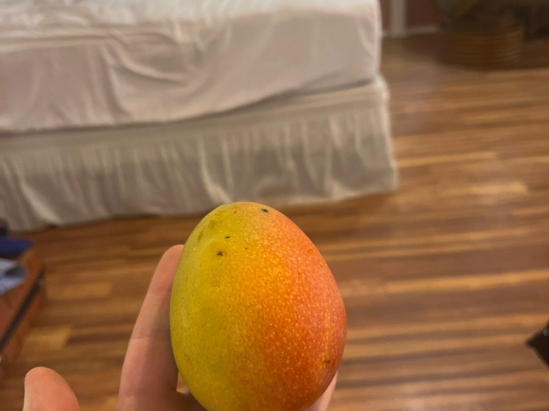 Sprecks Plantation House主图