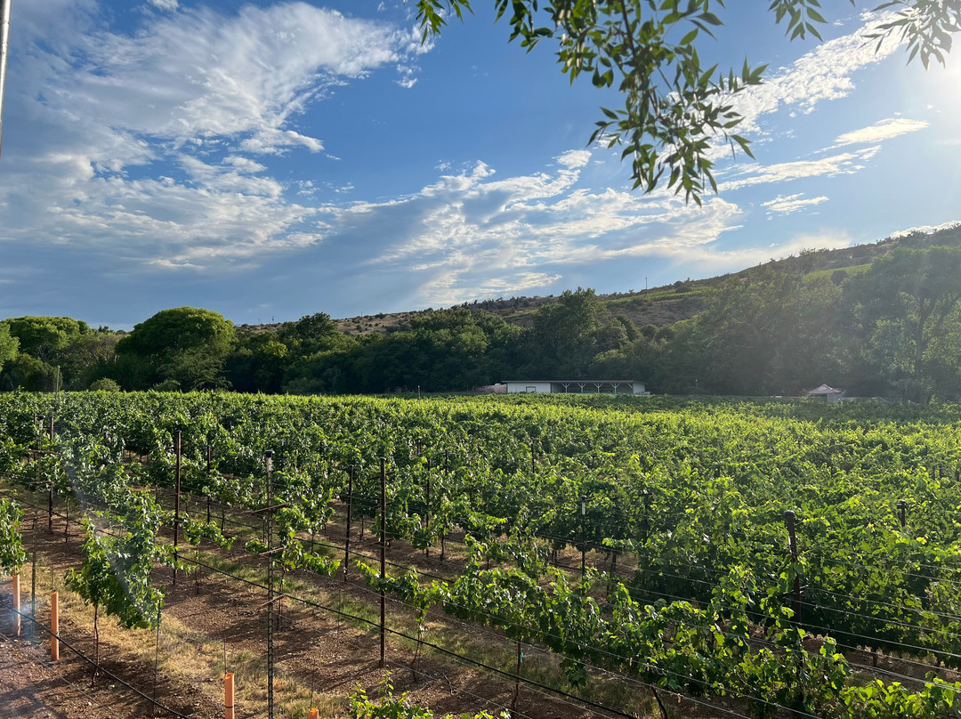 Page Springs Cellars-Cornville必去景点