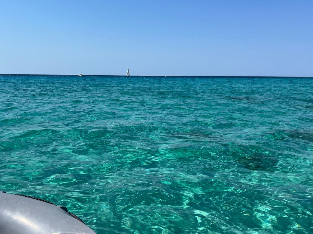Location Saint-Florent-Saint Florent必去景点