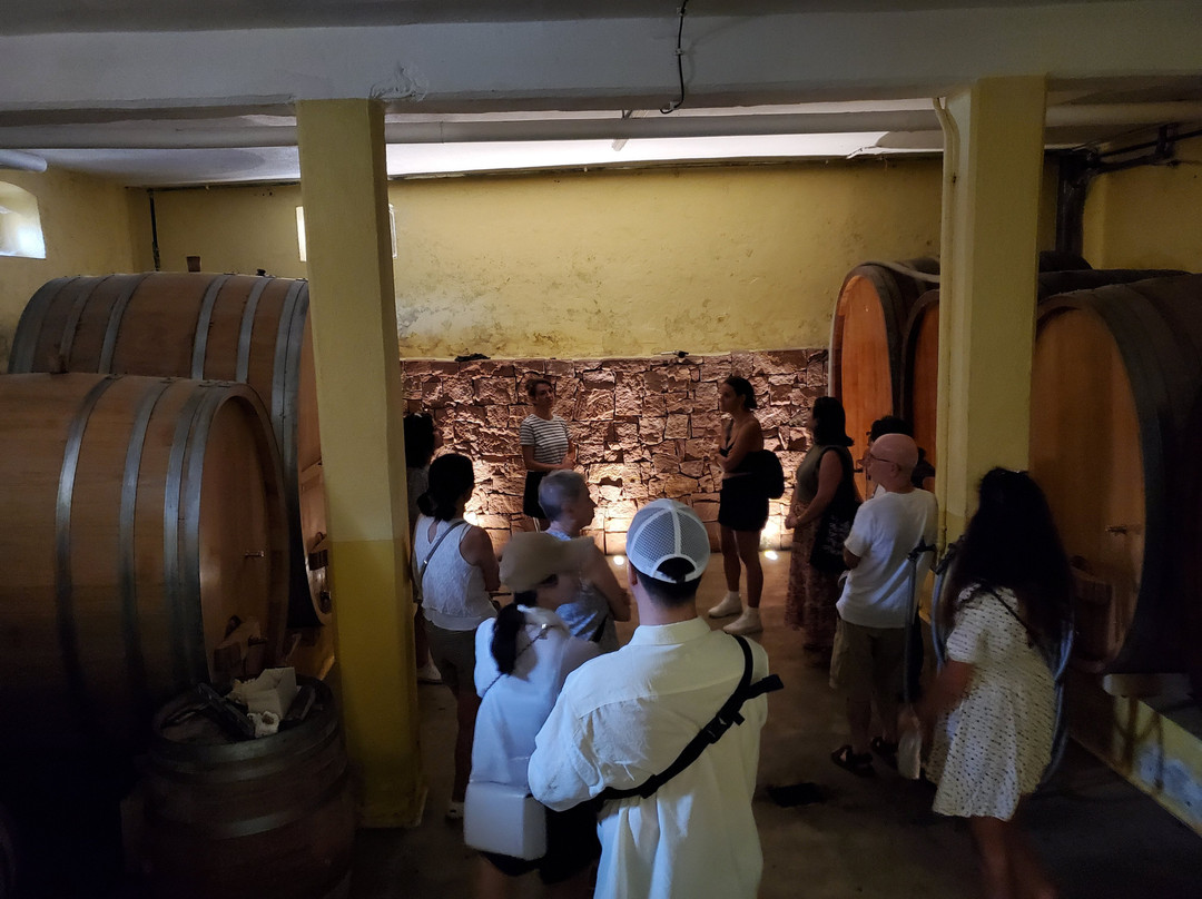 Domaine Specht - Vins et activités oenotouristiques-Mittelwihr必去景点