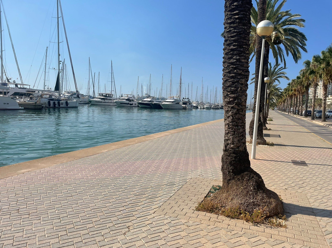 Clips Mallorca Cycling | bike rental Can Pastilla-坎帕斯蒂利亚必去景点