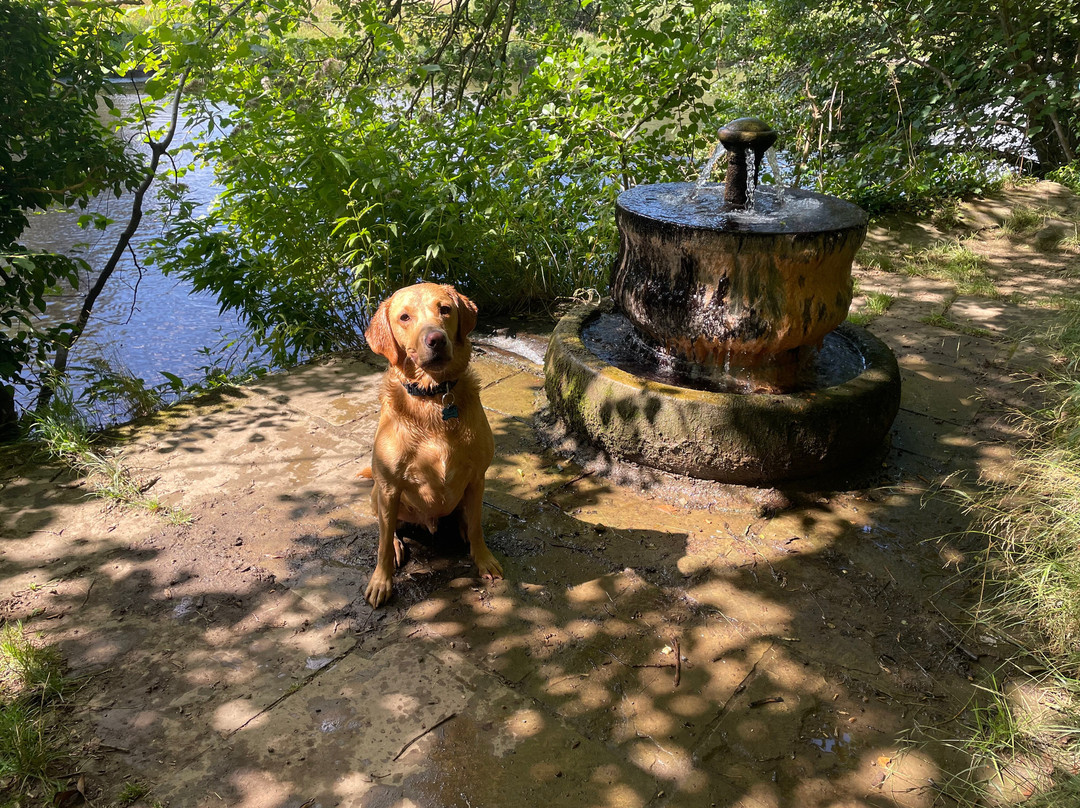 Gainford Spa
